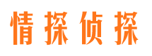 阜南寻人公司